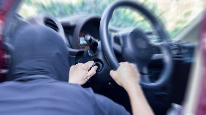 Preocupación por alza de portonazos en La Florida: Cifras de Fiscalía Oriente encienden la alarma