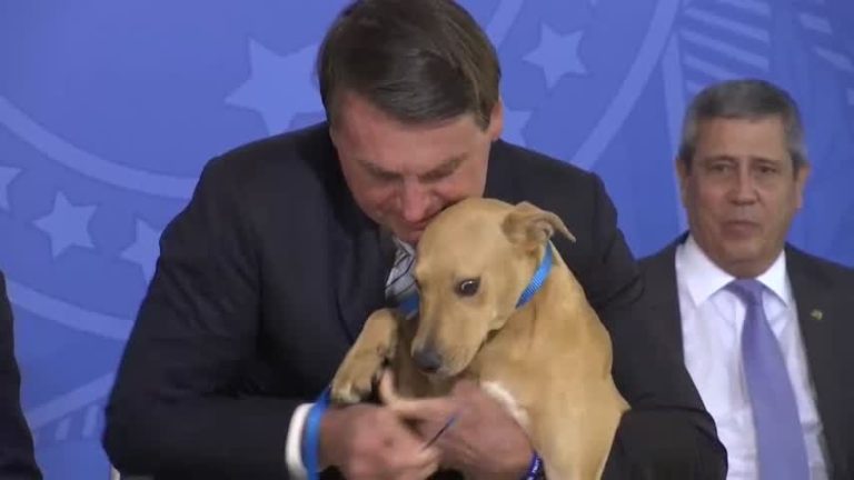 Bolsonaro promulgó ley contra el maltrato animal e hizo que su perro la “firmara”