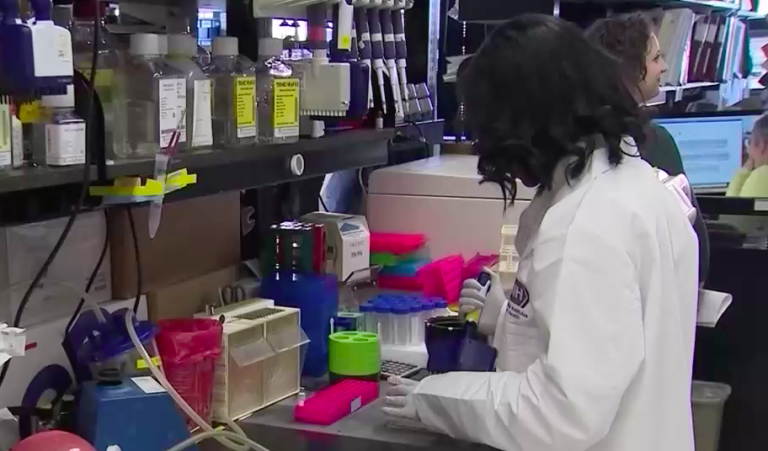 Suspenden convocatoria para Becas Chile de 2021 tras ajuste presupuestario por la pandemia