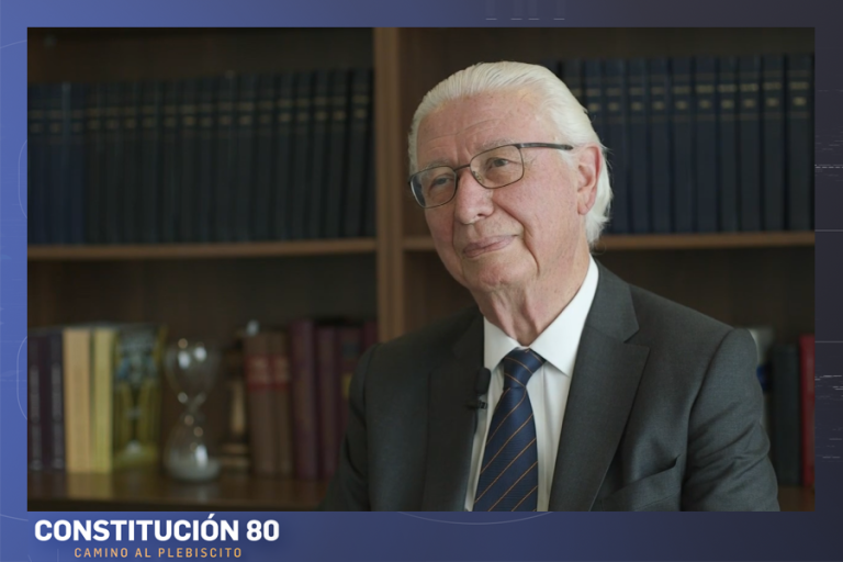 Raúl Bertelsen, integrante de la Comisión Ortúzar: 