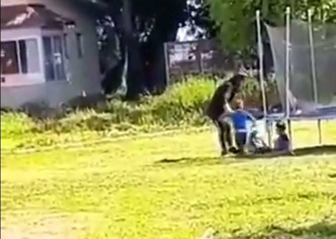 Captan agresión de educadora a dos menores en hogar de Hualpén