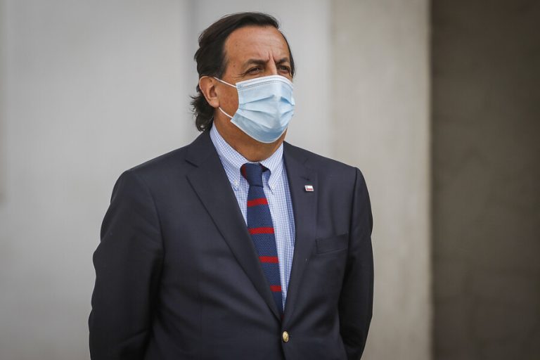 Ministro Pérez por dichos de Teillier sobre manifestaciones: 