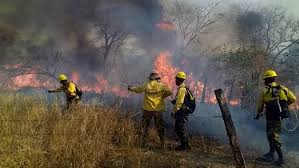ONU advierte: El mundo corre el riesgo de convertirse en un 