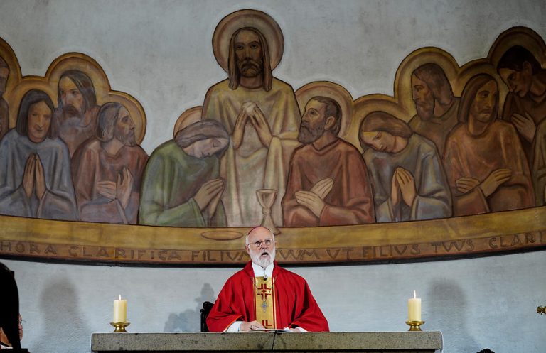 Papa Francisco nombra cardenal a Celestino Aós, arzobispo de Santiago