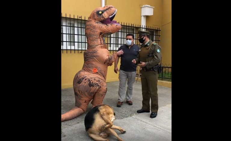 No lo querían dejar votar: Hombre llegó a sufragar vestido como dinosaurio