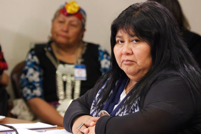 Diputada Nuyado al Congreso: 