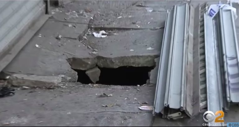 Hombre cayó a un agujero lleno de ratas: 