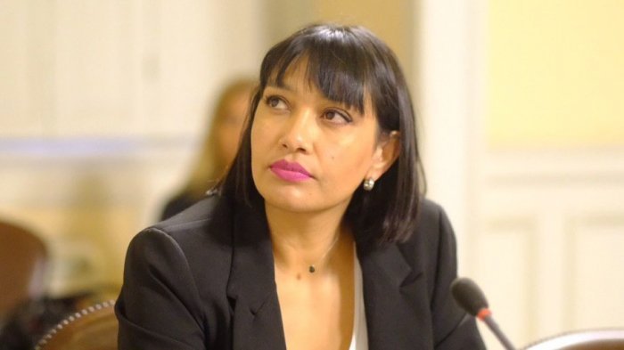 Natalia Castillo sobre dichos de María José Hoffmann: 