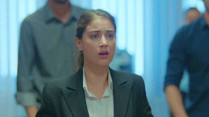 Amor de Familia | Capítulo 93