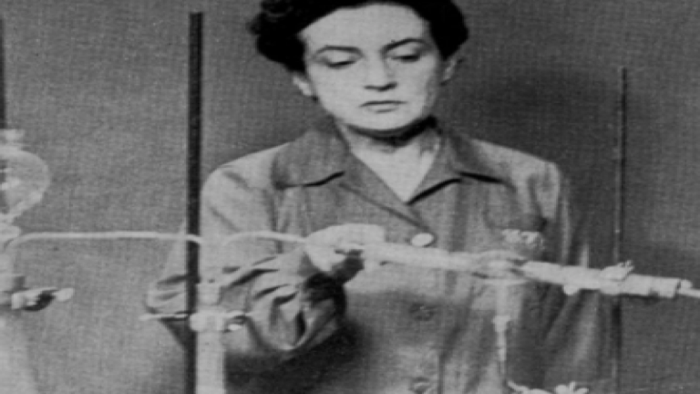 Las tele-clases de Viola Soto