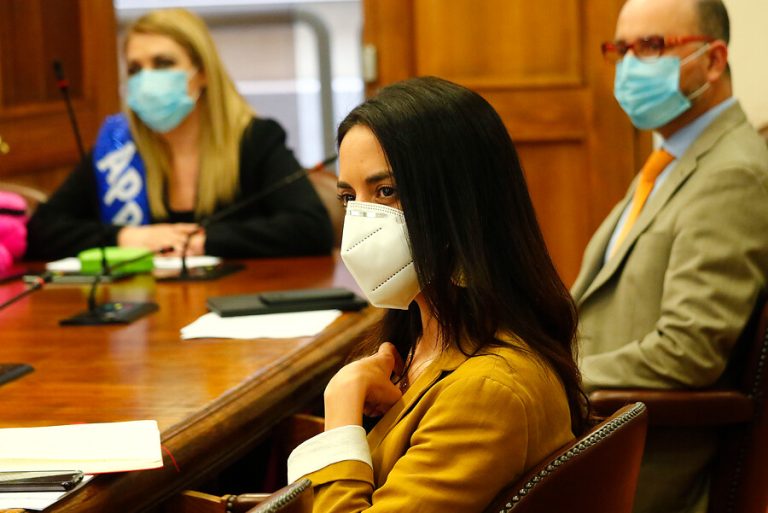 Paulina Núñez por proyecto de Camila Vallejo: 