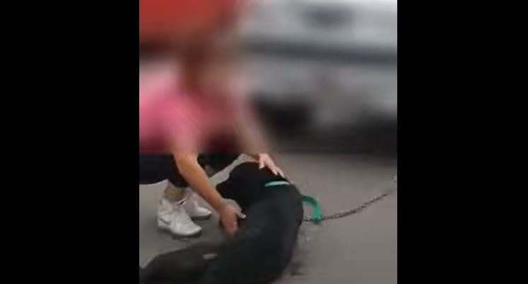 Mujer amarró a su perro con una cadena al auto y lo arrastró por varias cuadras
