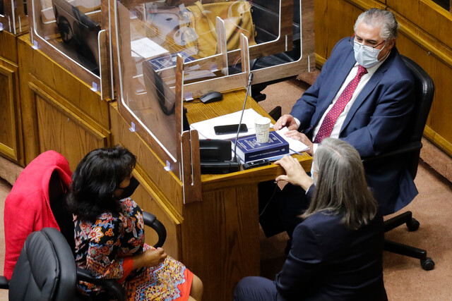 Senado aprobó proyecto del 10% del gobierno: Así votó la oposición