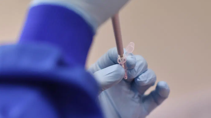 Realizan vuelos de prueba para la distribución de vacunas entre Miami y puntos de Sudamérica