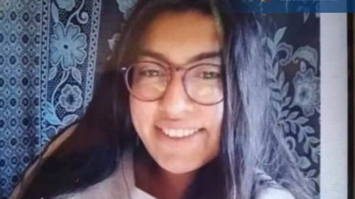 Teléfono encontrado en una quebrada sería clave en la búsqueda de joven desaparecida en Los Muermos