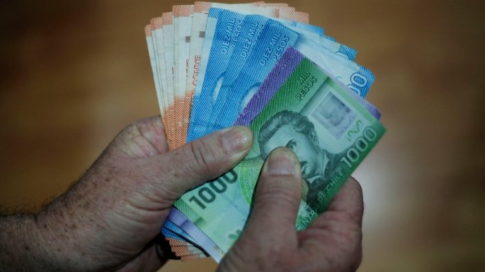 Un bono para las dueñas de casa: Conoce el monto y los requisitos para obtener el bono de Protección