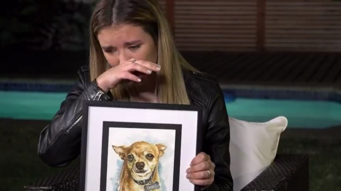 Carla Jara se quebró hasta las lágrimas al recordar la dura pérdida de su mascota