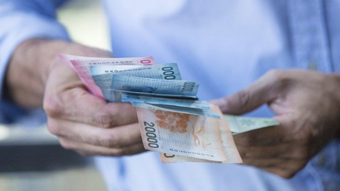 Subsidio al Ingreso Mínimo Garantizado: Revisa cómo y accede ahora a este beneficio en estos simples pasos