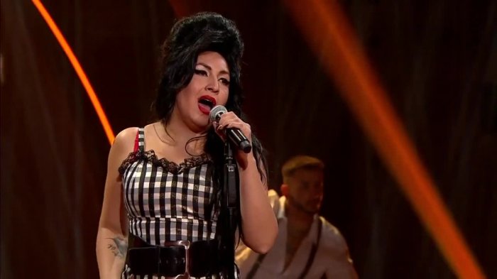 Amy Winehouse no logra convencer del todo a Antonio Vodanovic sobre el escenario