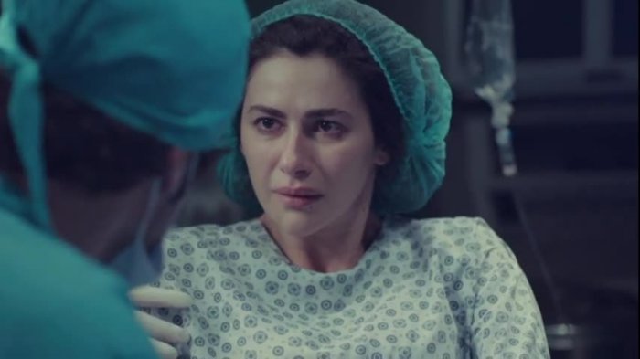 Amor de Familia | Capítulo 105