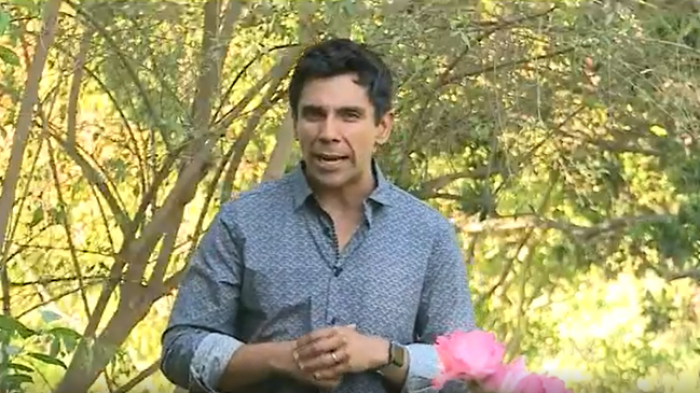 Sabingo | Capítulo 29 de noviembre