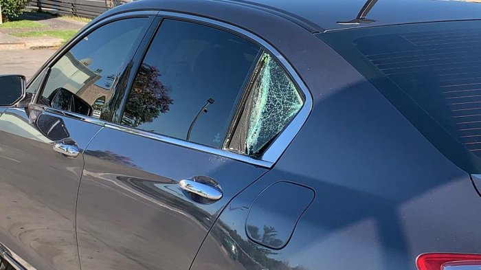 Asaltante que intentó robar auto de Ministro Briones murió baleado por Carabineros