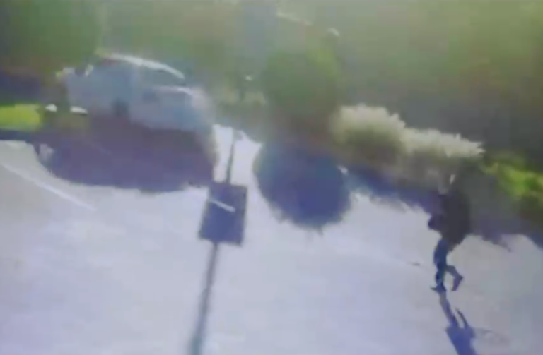 Nuevos antecedentes tras robo que repelió escolta de ministro Briones: Protocolo genera opiniones divididas