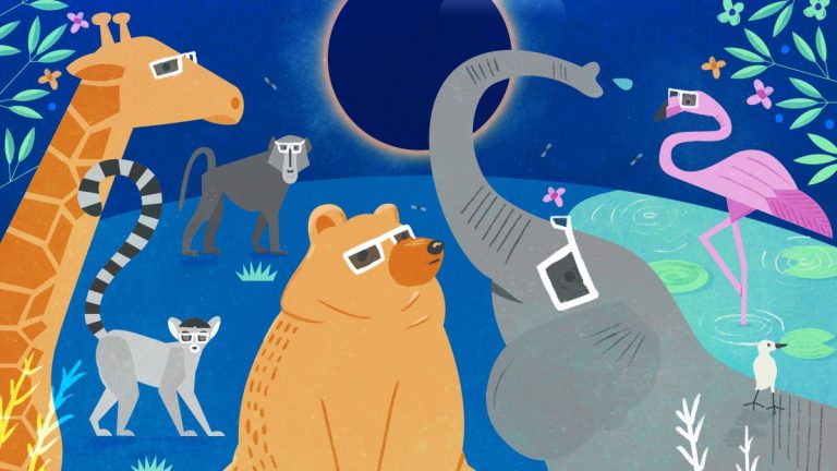 ¿Cómo los eclipses afectan el comportamiento de los animales?