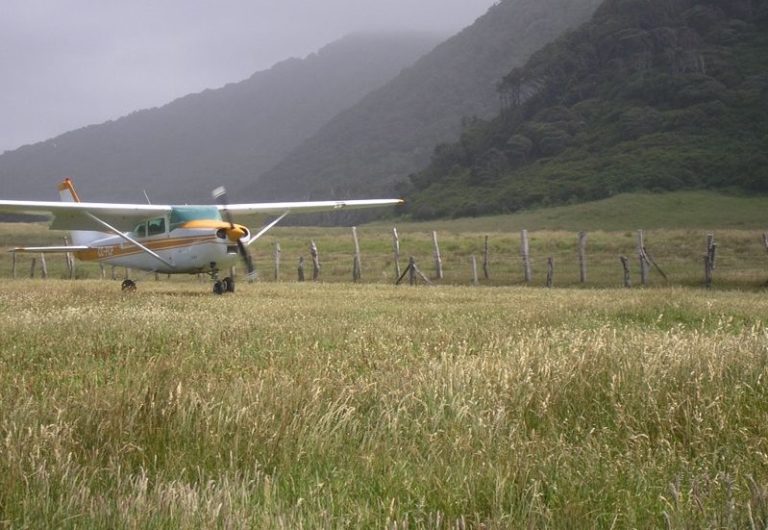 No quieren turistas por el eclipse: Vecinos de Isla Mocha amenazaron con tomarse el aeródromo