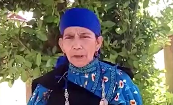 Machi Linconao y escaños reservados: 