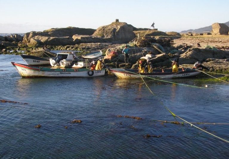 Habitantes presentaron recurso de protección: Justicia prohíbe que visitantes viajen a Isla Mocha por eclipse