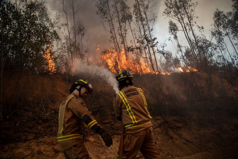 Valparaíso: Onemi declara Alerta Roja en la comuna por incendio forestal en Laguna Verde