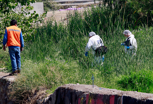 Efectivos policiales encuentran cadáver en lecho del río Mapocho