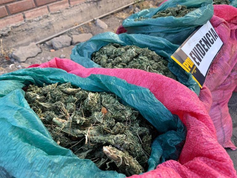 Desbaratan banda de narcotráfico con 100 kilos de marihuana en Los Andes