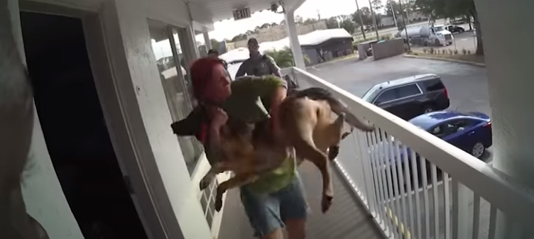 Mujer lanzó a su perrita desde un segundo piso en plena detención policial