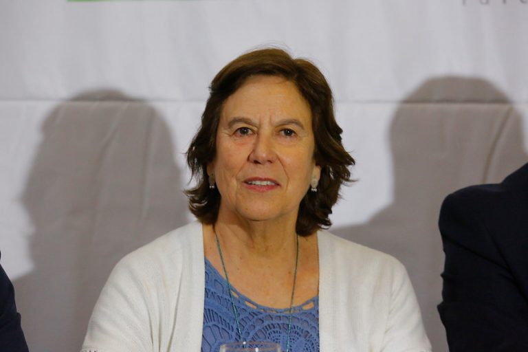 Como independiente y por el distrito 11: Mariana Aylwin confirmó su precandidatura a la Convención Constitucional