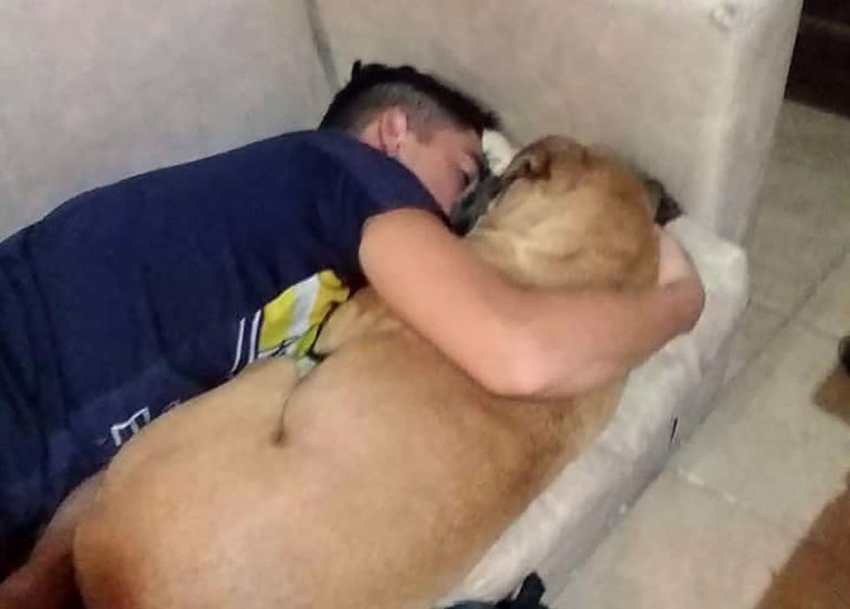 Perrita murió en los brazos de su dueño luego que fuegos artificiales le causaran un ataque