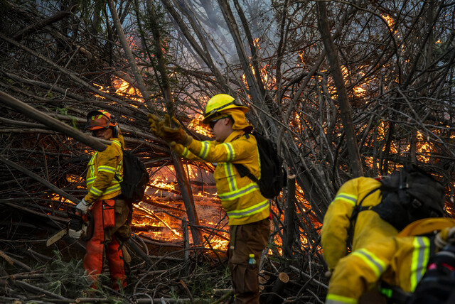Incendio forestal en Valparaíso: Autoridades cancelan la Alerta Roja y declaran Alerta Amarilla