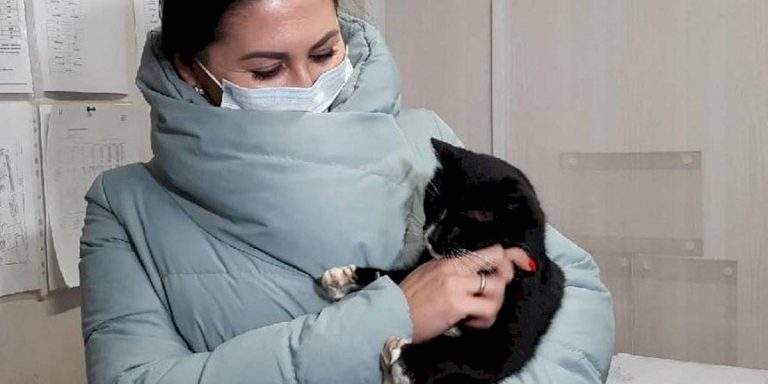 Gato salvado de ser triturado en un basural fue nombrado viceministro en Rusia