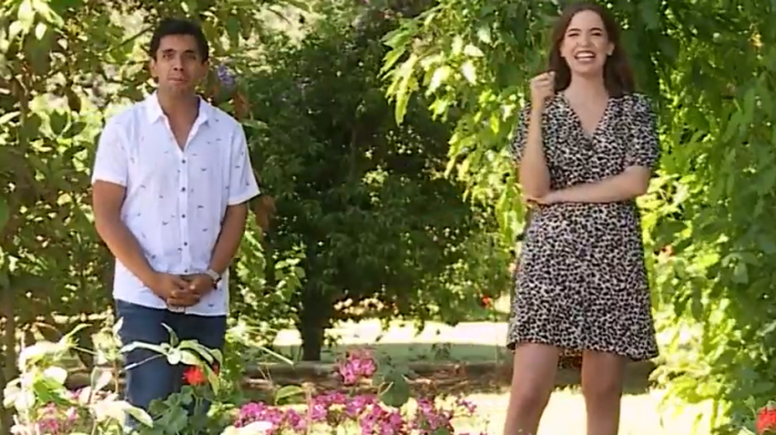 Sabingo | Capítulo 19 de diciembre