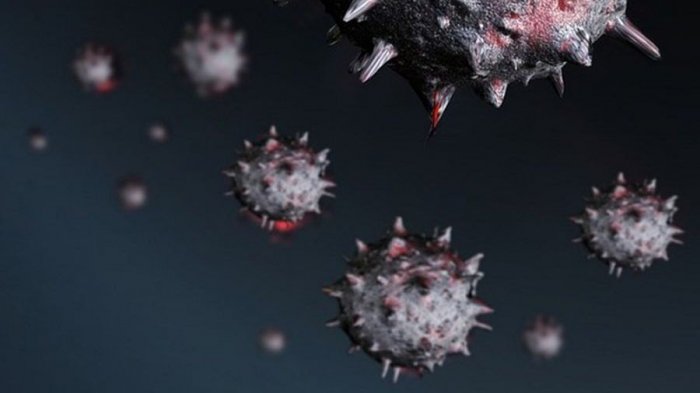 Se confirmó el primer contagio de la nueva variante de coronavirus en Chile