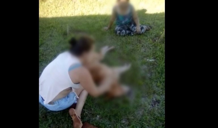 En medio de risas: Adolescentes se grabaron sacándole los ojos a un perro con un palo