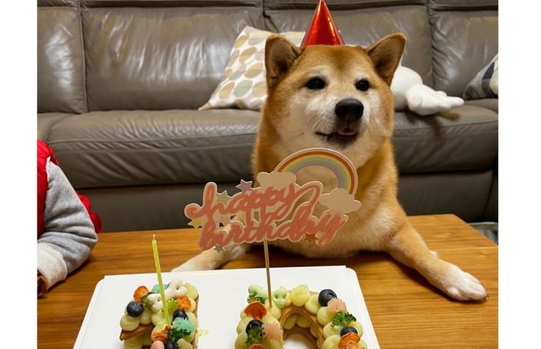 El perro de uno de los memes más populares celebró su cumpleaños número 10
