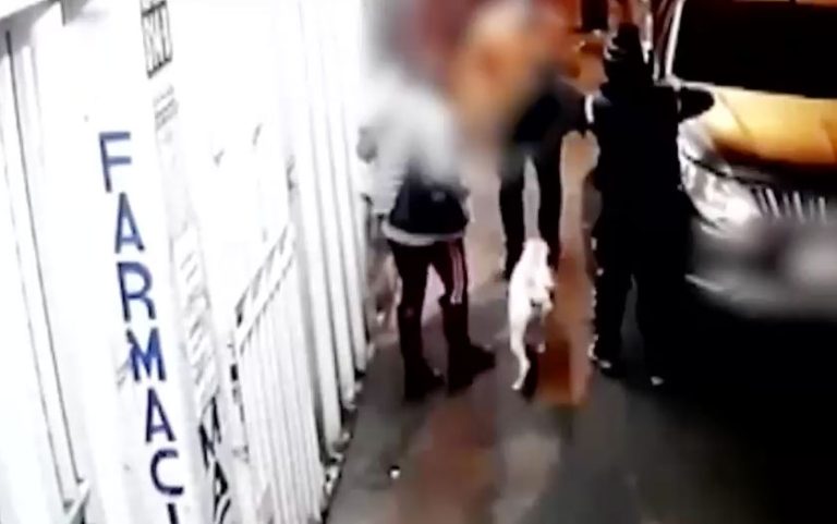 Detienen a delincuente que usó a un perro para asaltar a una familia