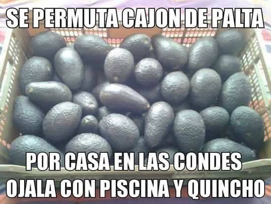 ¿Oro verde? Los memes que se han viralizado por el alza en el precio de las paltas