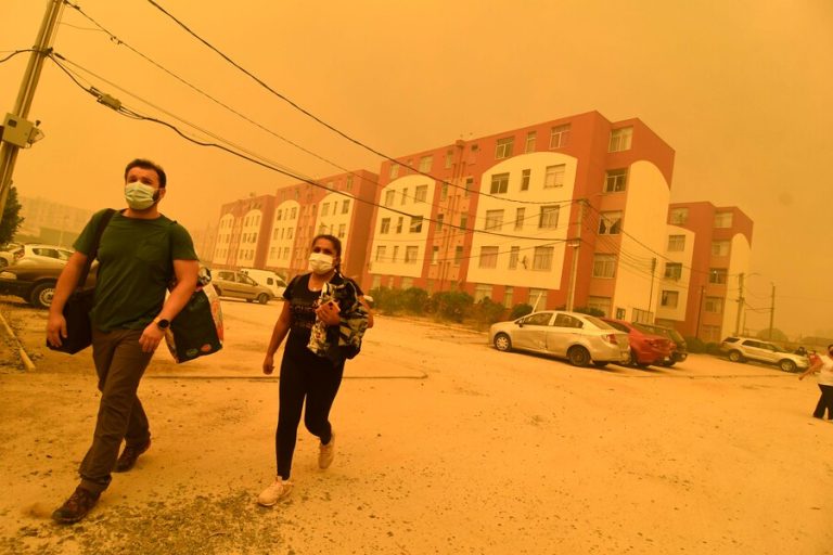 Onemi ordena evacuación en Quilpué por incendio forestal: Ya se han quemado 6 casas