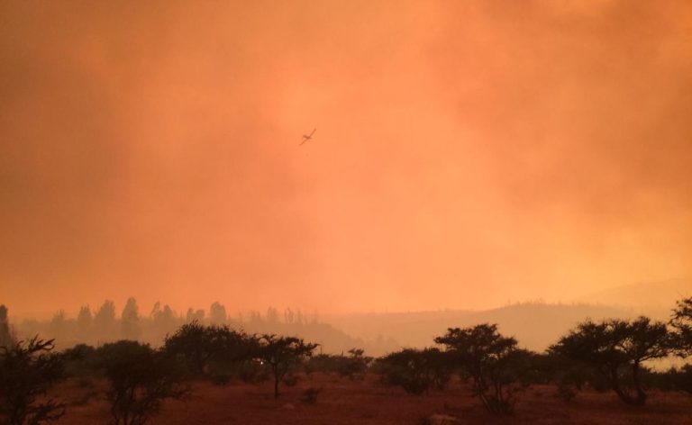 Estas son las impactantes imágenes que ha dejado el incendio forestal en Quilpué