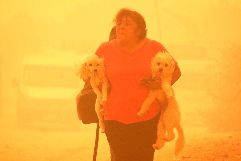 Las dramáticas imágenes de la evacuación por incendio forestal en Quilpué