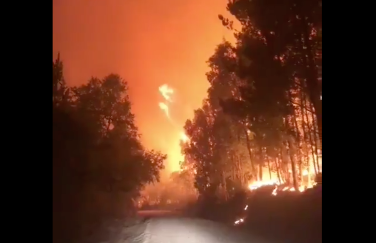 Incendio forestal obliga a la evacuación de los sectores de Palihue y Las Corrientes en Nacimiento