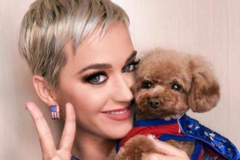 Katy Perry recibió críticas tras contar que su perro se volverá vegano